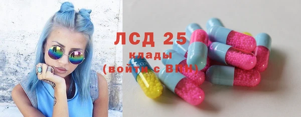 прущий лед Бородино