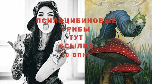 хмурый Богданович