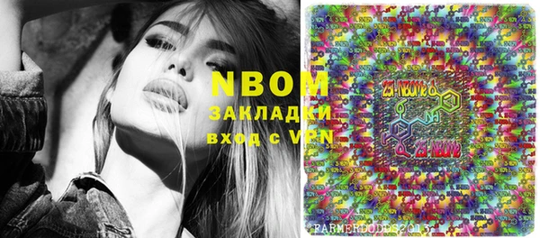 твердый Богородицк
