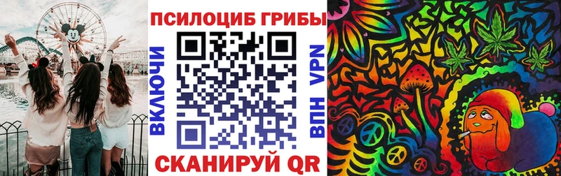 цены наркотик  Бобров  Галлюциногенные грибы MAGIC MUSHROOMS 